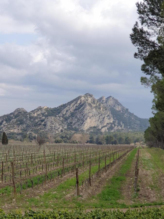 Les Estrelles Apartman Saint-Rémy-de-Provence Kültér fotó